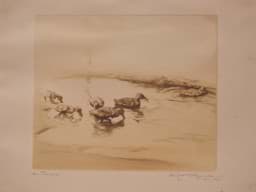 Image de Karl Ewald Olszewski (1884 - 1965) Enten am Tümpel Farbaquatintaradierung signiert & bezeichnet