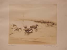 Visa detaljer för Karl Ewald Olszewski (1884 - 1965) Enten am Tümpel Farbaquatintaradierung signiert & bezeichnet Bild av Karl Ewald Olszewski (1884 - 1965) Enten am Tümpel Farbaquatintaradierung signiert & bezeichnet