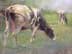 Bild av Ölgemälde Wilhelm Mergenthaler (1878-?) Landschaft Kühe auf der Weide Öl/Lwd signiert
