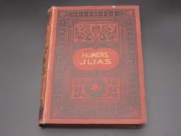 Obraz Antik Buch, Homers Jlias, 1879 - Prachtausgabe