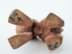 Bild von Holzfigur Chinesischer Drachenhund, Teakholz, 2.Hälfte 20.Jh.