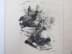 Bild von Paul Ginthum Lithografien Buch Pfälzer Sagen und Balladen, signiert von den Künstlern Otto Dill • Albert Haueisen • Adolf Kessler