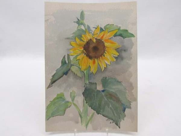 Bild von Aquarell Blumenstillleben Sonnenblume, Bild monogrammiert und datiert 1952