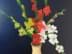 Bild von Ölbild Blumenstillleben Gladiolen in einer Vase, Öl/Leinwand