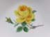 Bild von Meissen Porzellan Schale, Gelbe Rose, 2. Wahl