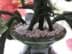 Bild von Großer Chinesischer Jade Halb-Edelsteinbaum / Glücksbaum mit Balustervase