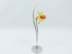 Bild von Swarovski Blume DACALI Light Topaz mit OVP