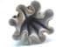 Bild von Fayence Figur Hübsche Bulgarin in Festgewant Trachtenkleid, Keramik Figur